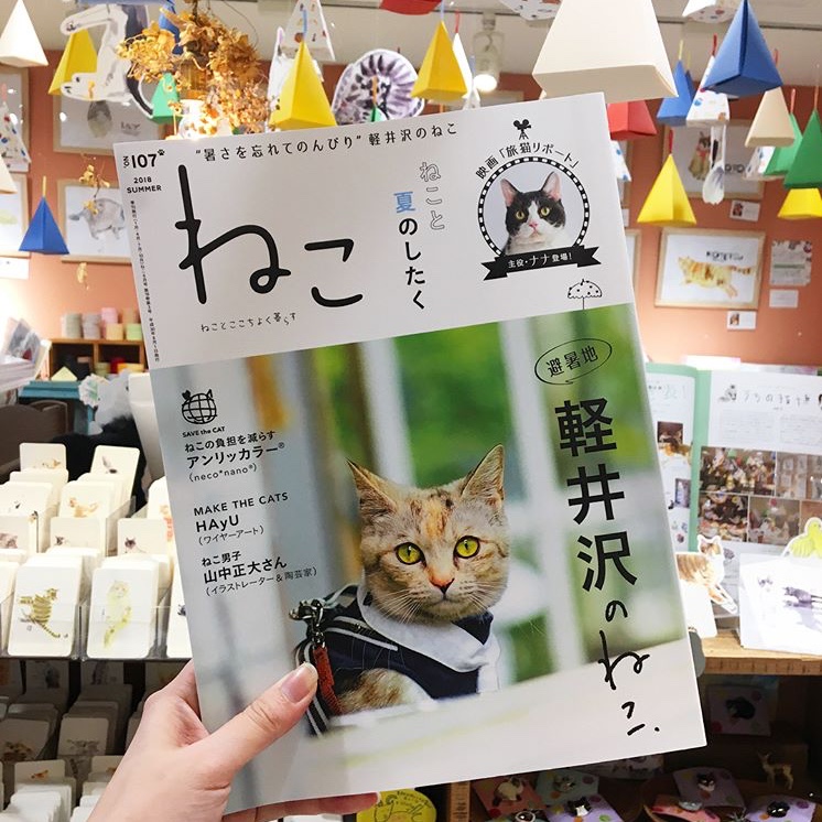 雑誌 ねこ 8月号 Paper Message ペーパーメッセージ